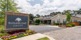 Sugarloaf Grove Gallery 3