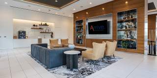 Arrive Michigan Avenue Gallery 30