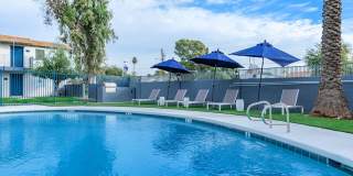 Rise at the Palms Gallery 56