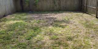 1525 Nevada Avenue - B Gallery 14