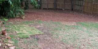 Cute 3 bedroom, 1 bath house in Homewood! Gallery 30
