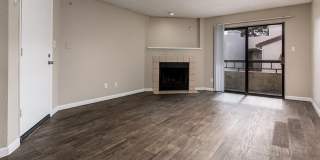 Rise on Cactus Gallery 100