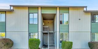 Mountain View Terrace Gallery 49