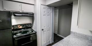 Spring Pine Gallery 30