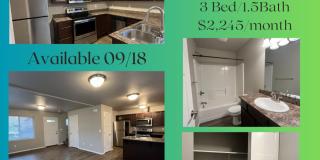 Townhouse Style 3 Bedroom Townhouse Style 3 Bedroom Gallery 1
