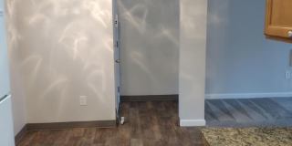 Chelan Gallery 8