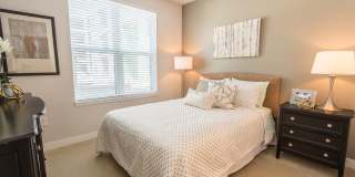 Mayfair Reserve Gallery 17