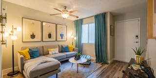 Avana Chandler Gallery 3