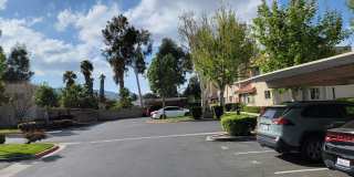 Sierra Vista Gallery 18