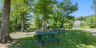 Dream Mountain Hollow Gallery 23
