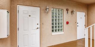 8416 Bernwood Cove LoopUnit#1609 Gallery 3