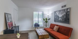 The Junction Gallery 11
