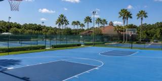 15246 HARRINGTON COVE Drive Gallery 48