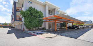 CitySouth Gallery 44