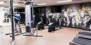 Ambassador Gallery 19