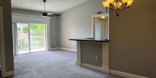 Georgeous College Town 2/2 split floorplan Gallery 4