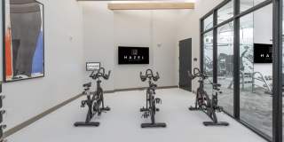 Hazel Southpark Gallery 42