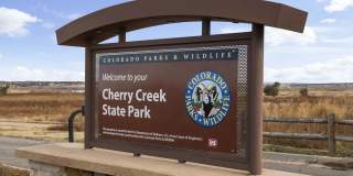 Camden Caley Gallery 37