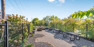 Stone Arch I Gallery 41