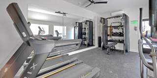 The Meadows Gallery 19