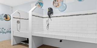 Burgundy & Hillsboro Apartments Gallery 20