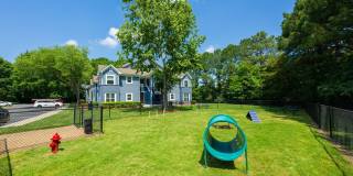 The Arboretum Gallery 25