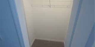 2951 Citrus Street Gallery 32