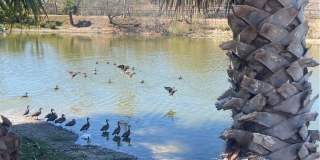 2058 Hidden Lake Gallery 20