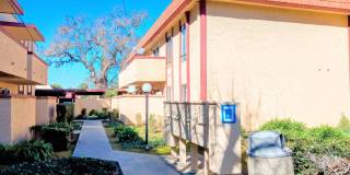 Refurbished Second Floor 1bd Condo With Pool & In-unit Laundry Gallery 17