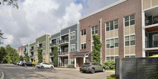 Element Oakwood Gallery 24