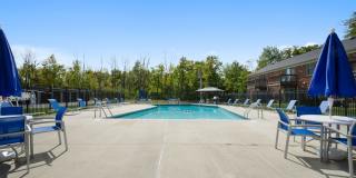 Jamestown Village Gallery 1