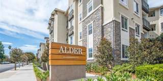 Alder Apartments Gallery 24