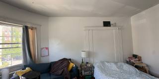 39 Strathmore Rd Gallery 10