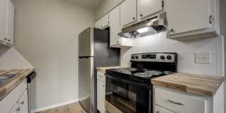 Cherry Tree East Gallery 1