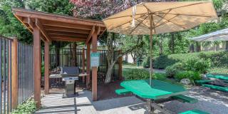 Carrington Gallery 11