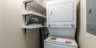 Renovated & Furnished Duplex in Peaceful Rosewood - 2746 Gallery 7