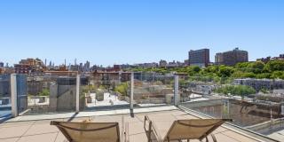 313 West 121st Street Gallery 11