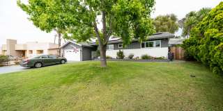 3709 Avenida Palo Verde Gallery 31