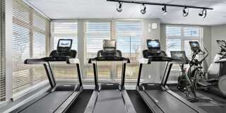 Thea's Landing Gallery 8