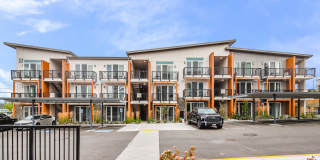 Allegro Lynwood Gallery 14