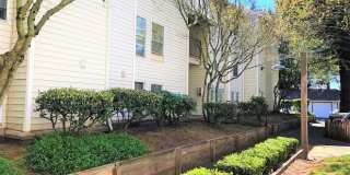 FarissWood Gallery 1