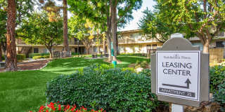 Saddleback Pines Gallery 12
