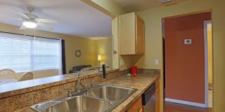 Palms at Waters Edge 3344-M6 Gallery 9