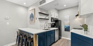 505 Collection Gallery 7