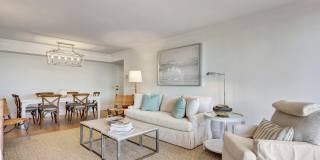 225 Beach Road Gallery 11