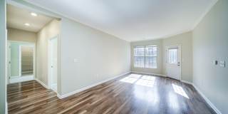 Aven at Newton Highlands Gallery 20