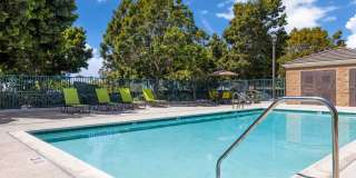 San Diego - Carlsbad Village by the Sea Gallery 38