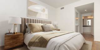 Vineyards Gallery 169