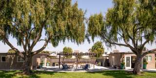 Amara Apartments Gallery 3