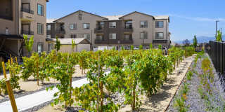 Homecoming at Kiley Ranch Gallery 27